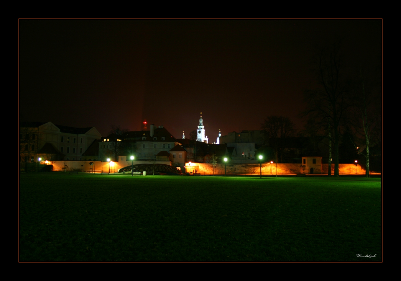 Noční zelený park.jpg